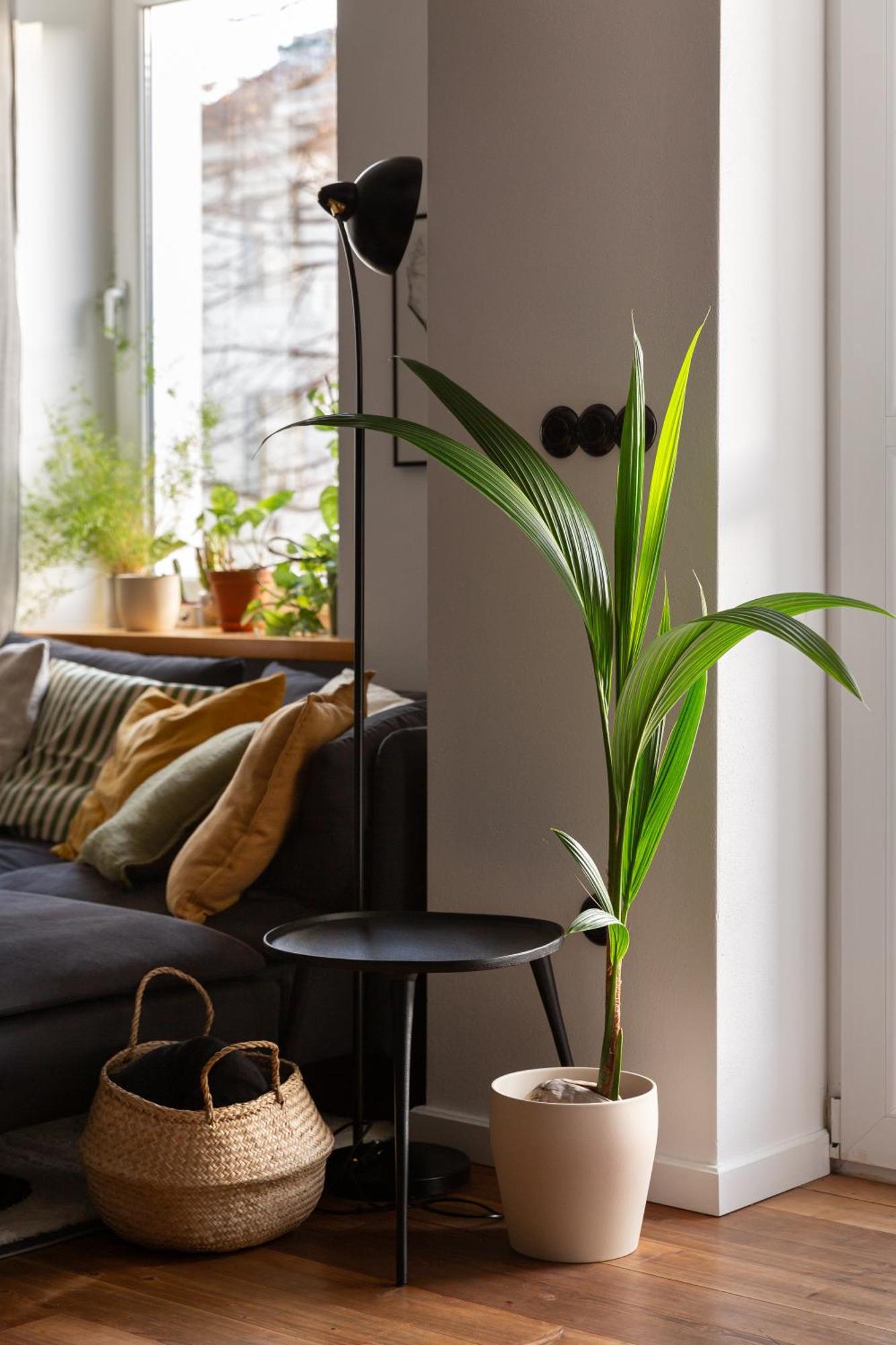 Evergreen - Old Town Spacious Stylish Apartment With Ac And One And A Half Bath, Baby & Kid- Friendly Bratislava Exterior photo